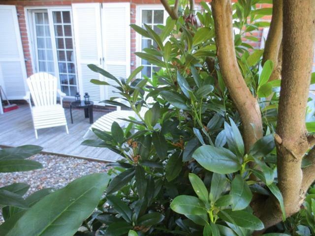 Luft Und Meer 4**** Ferienwohnung Hage Εξωτερικό φωτογραφία